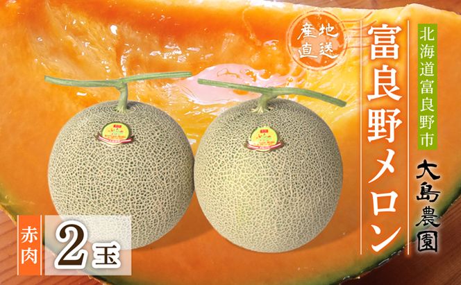 【2026年7月中旬～発送】ふらのメロン 赤肉 2玉 計3.2kg以上 北海道 富良野市 (大島農園)
