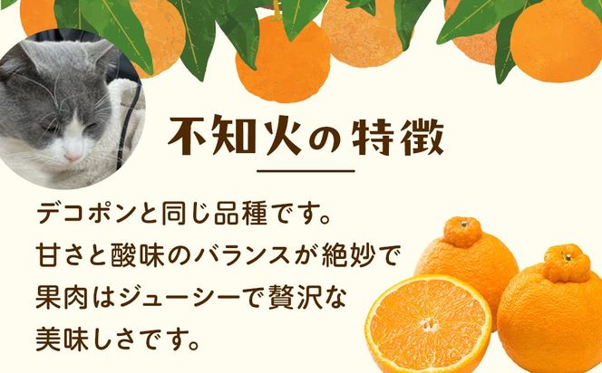 ［先行予約］家庭用 不知火2.5kg+250g（傷み補償分）［デコポンと同品種・人気の春みかん］［わけあり・訳あり］ CZ117