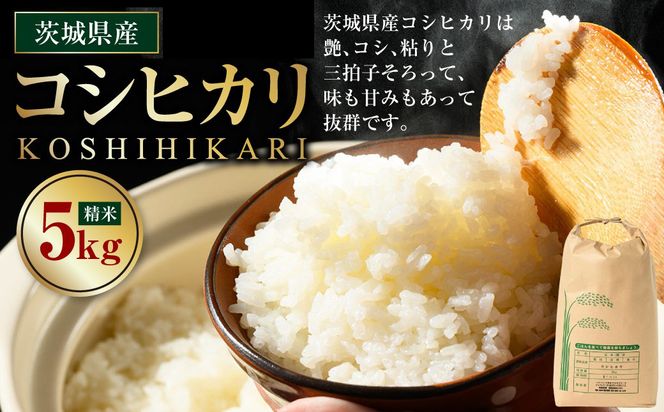 【先行予約】【令和8年産】茨城県産コシヒカリ 5kg ※2026年10月～発送 | 米 お米 おこめ コメ 白米 精米 ご飯 ごはん コシヒカリ こしひかり 茨城県 守谷市