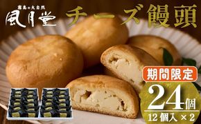 【期間限定】チーズ饅頭プレーン 24個（12個×2箱）個包装 焼菓子 チーズ プレーン ご当地スイーツ まんじゅう
