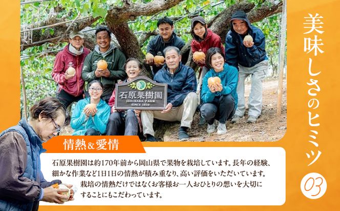 梨 2026年 備前横綱梨（あたご梨）3玉（1玉1～1.4kg）贈答箱【11月下旬～12月中旬頃発送】 ナシ なし 岡山県産 国産 フルーツ 果物 ギフト 石原果樹園 