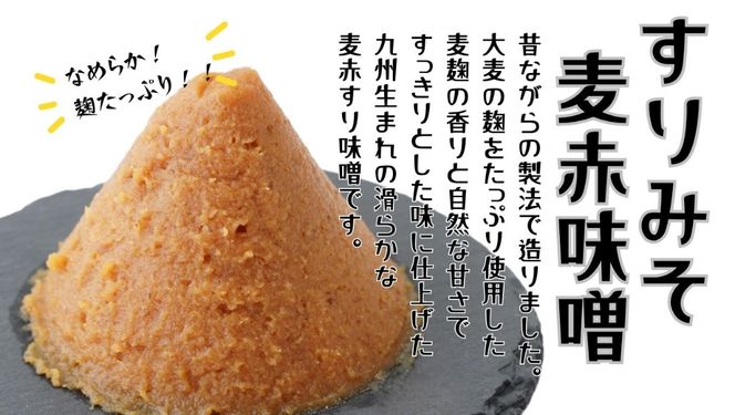 みそ すりみそ 麦赤味噌 計 3kg(1kg×3袋） 昭和の町 九州 味噌 大麦麹 使用 調味料 甘口 大分県 豊後高田 あかみそ むぎみそ みそ 【スピード発送】