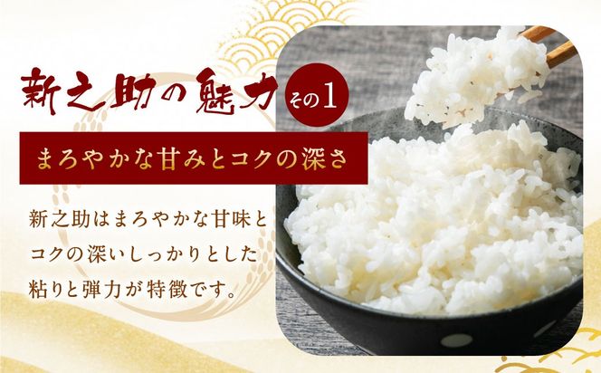 【令和7年産米】新潟県村上市岩船産 新之助 5kg 1013002 