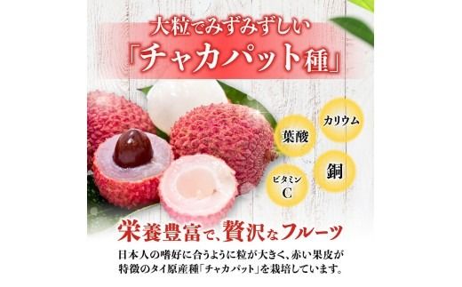 ※サイズが選べる※【令和8年産】川南町産ライチ 10粒(5粒×2パック) 【 国産ライチ フルーツ デザート 宮崎県産 】 [B03201 B03202 B03203]