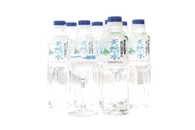 AJ615 山崎本店酒造場 【3回定期便】 雲仙島原の天然水 500mL 30本 計15L [ 水 ペットボトル 天然水 おいしい 備蓄 日用品 大容量 定期便 定期 名水百選 軟水 長崎県 島原市 ]
