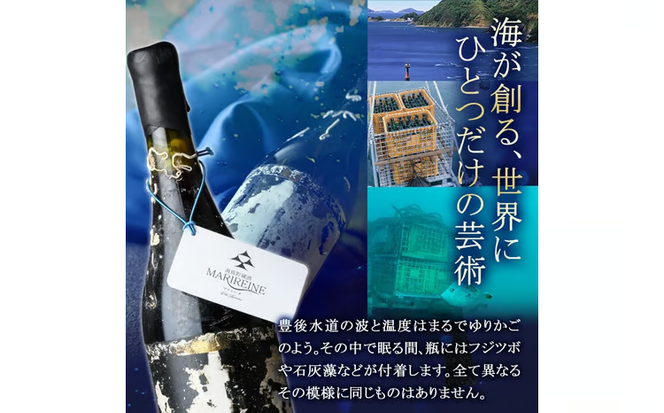 海底貯蔵 白ワイン MARIREINE ロネア コート デュ ローヌ レジョンド デ トック 2024 (750ml・1本) ワイン 白ワイン フランス 酒 パーティー マリレーヌ 海底蔵の眠り酒 熟成 大分県 佐伯市【FP032】【フルタ酒店】