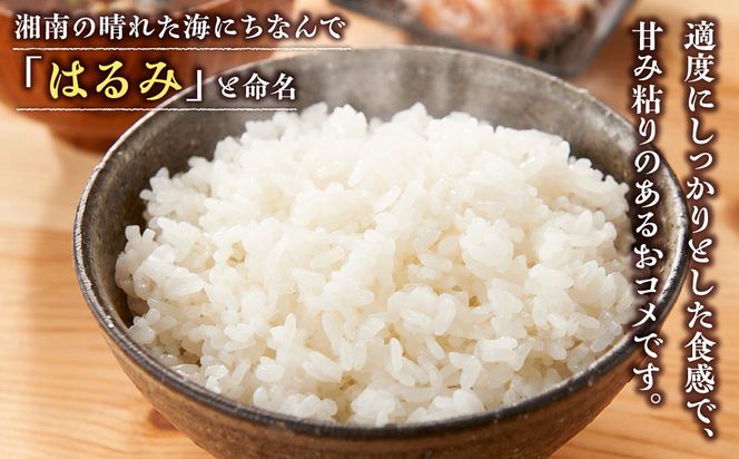 志村屋米穀店 令和7年産小田原市産　はるみ　10kg（5kgｘ2） 142069_DE002