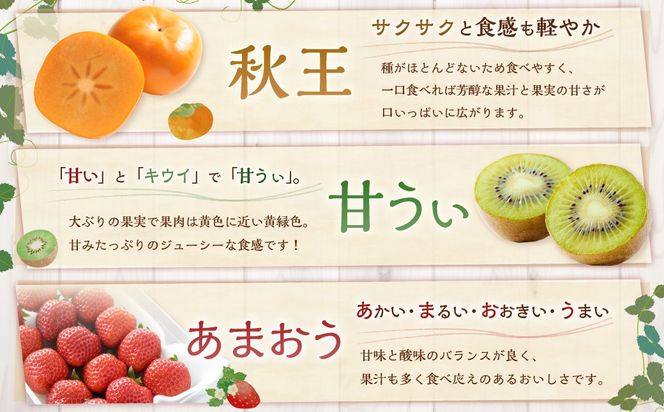 福岡のリッチなフルーツ 3回 定期便 【2026年10月下旬～12月下旬発送予定】 フルーツ 果実 果物 秋王 甘うぃ あまおう 柿 キウイ いちご