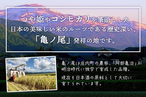 【新米受付】【R8.10月以降発送】令和8年産 はえぬき 10kg 渡會さんのうまい米！ 5kg×2袋 2026年産 ブランド米 米 国産 単一原料米 山形 庄内平野 コシヒカリの原点、亀の尾発祥の地 庄内
