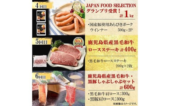 【定期便・全12回】ナンチクのお肉を楽しむ定期便！ナンチク厳選コース！ 総量8.5kg超! t0165-002