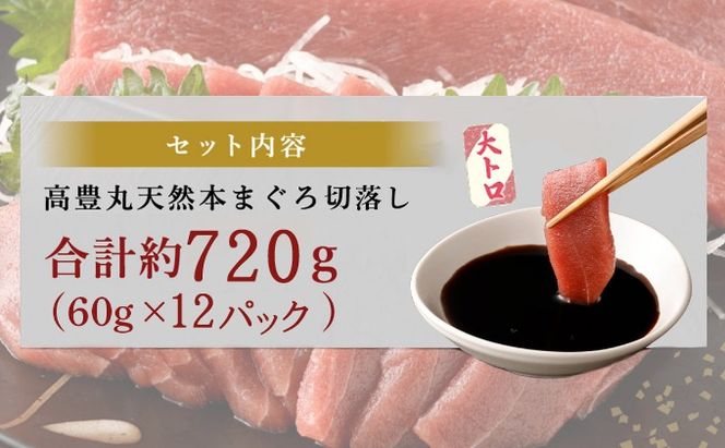 《 天然本まぐろ 》 大トロ 切落し 【ちょこっとパック】720g（60g×12パック） 大トロ 天然まぐろ 本マグロ まぐろ 鮪 マグロ お手軽 食べきりサイズ 切り落とし お刺身 魚介類 海鮮 小分け 魚 魚貝 高知 簡単 簡単調理 惣菜 冷凍 室戸の本マグロ tk105