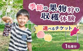 フルーツ 季節の果物狩り 収穫体験 選べる チケット 1名様分 フルーツ狩り シャインマスカット ぶどう 梨 桃 藤原園芸 岡山県 赤磐市