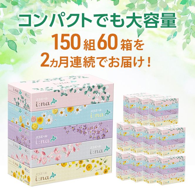 【2ヵ月連続お届け・計120箱】エリエール i:na (イーナ) 北海道 ティシュー 150組5箱 12パック ティッシュペーパー 箱ティッシュ まとめ買い 防災 常備品 備蓄品 消耗品 日用品 生活必需品 送料無料 赤平市