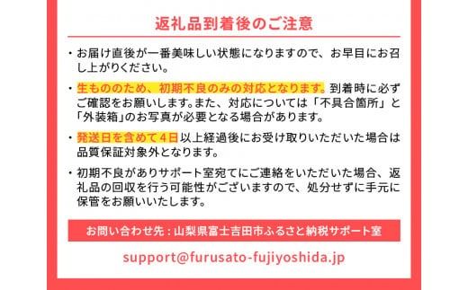 【2025年先行予約】山梨の朝どれ桃 （ 単品 定期便 が選べる）桃 山梨県産桃 果物 くだもの 果物 フルーツ もも