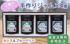 2種のベリー【カシス＆ブルーベリー】手作りジャムセット 各2個 北海道 南富良野町 ジャム ベリー カシス ブルーベリー ソース 果実 てんさい糖 無農薬 甘酸っぱい 