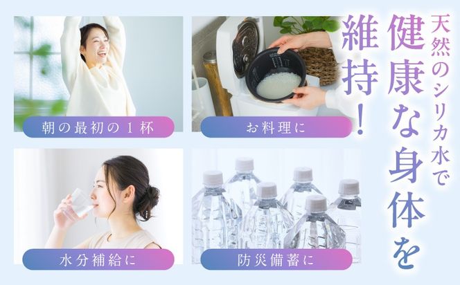 099Z361 【定期便】シリカ水 500ml 24本×全6回【ALOHAS 国産 天然水 ミネラルウォーター 高濃度シリカ 飲料水 防災 備蓄 ペットボトル 毎月配送コース】