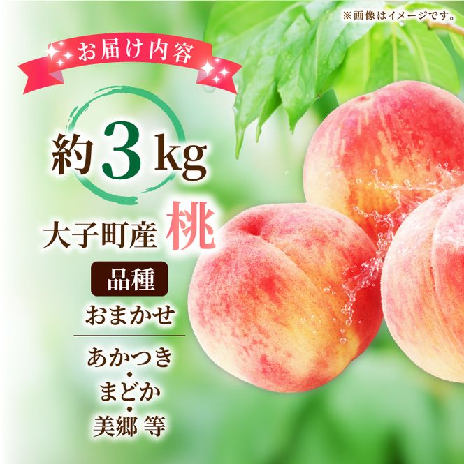 【先行予約・数量限定】大子町産「桃」約3kg 品種おまかせ（あかつき・まどか・美郷 等）｜茨城県 大子町 令和8年産 もも モモ フルーツ 果物 おまかせ 詰め合わせ 産地直送 旬 人気 厳選 奥久慈りんご園（AI008）