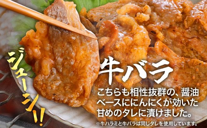 牛豚味付け焼肉セット 1.2kg 牛ハラミ 牛バラ 豚バラ 味付き 小分け 保存 醤油 にんにく タレ 子供 生姜 香味野菜 ネギ塩 キャンプ バーベキュー 福岡県 福岡 九州 グルメ お取り寄せ