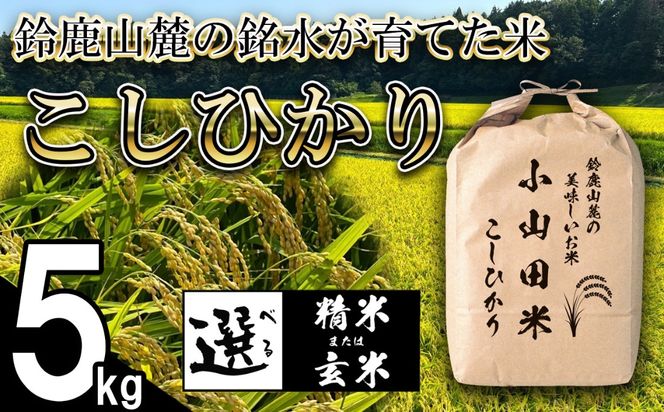 【令和８年産】新米 こしひかり（精米）5kg 鈴鹿山麓の銘水が育てた米 l 米どころ 三重県産 小山田地区  小山田米  米 コメ 白米 精米