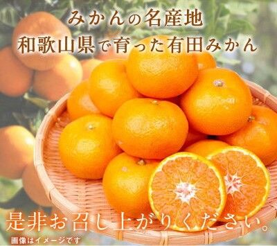 G7345_【2026年11月下旬より発送】紀州 有田産 濃厚甘熟 温州みかん 7.5kg 【家庭用 訳あり】