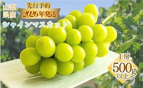 【2026年先行予約！】シャインマスカット500g以上（1房）　FB036