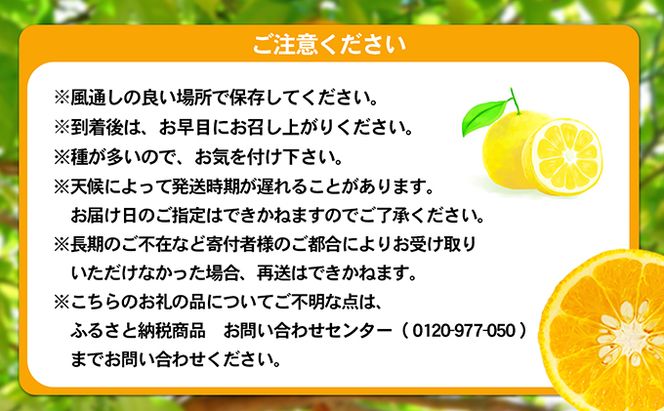 【 小豆島 】 甘夏柑 約10kg 柑橘 あまなつかん 果物 フルーツ 爽やか さっぱり くだもの 国産 香川 香川県 土庄 土庄町 