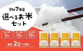 米 5kg 10kg 20kg【定番】こしひかり スピード発送 6月 7月 8月 令和7年産 白米 精米