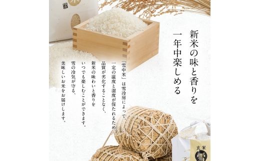 令和8年産 特Aランク米 ななつぼし 無洗米 10kg（5kg×2袋）【4月発送】 雪冷気 籾貯蔵 雪中米 北海道 nr-2126