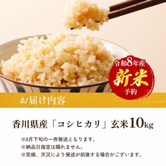 令和8年産　新米「コシヒカリ」10kg（玄米）  お米 10kg 