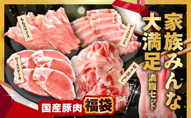 mrzZ071 【定期便】国産豚肉 4種 2.4kg×全2回【氷温熟成×極味付け 小分け 300gパック ぶたにく 普段使い 野菜炒め 切り落とし 訳あり サイズ不揃い 2026年2月＆5月発送】