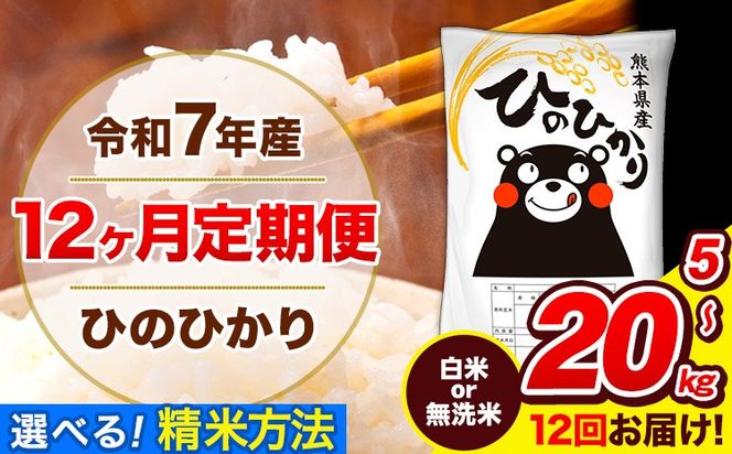 令和7年産 ひのひかり【12ヶ月定期便】選べる精米方法 白米 or 無洗米 5kg10kg 20kg 計12回お届け 《お申込み翌月から出荷》 熊本県産 白米 無洗米 精米 ひの 米 こめ お米 熊本県 長洲町---hn7tei_126000_5kg_mo12_ng_h---