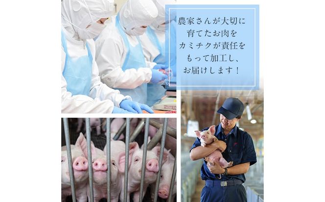 〈3回定期便〉鹿児島県産 豚モモスライス&カタ薄切り 各250g×8Pずつ 計4kg×3回 t0051-003