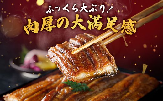 【一度食べたらやみつき！リピート多数 】うなぎ蒲焼２尾セット【D009W】