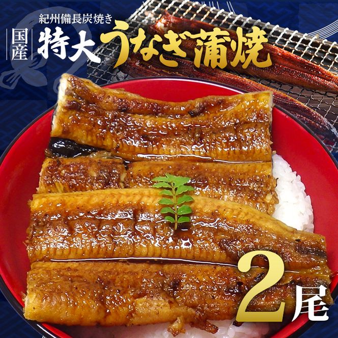 R6102_紀州備長炭焼き 特大 うなぎ 蒲焼き(国産)【鰻 ウナギ 丑の日 土用 蒲焼き 関西風 冷凍】
