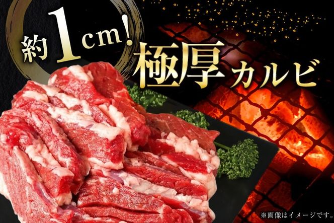 肉 カルビステーキ 500g 2p 計 1kg [上球磨農産 熊本県 五木村 51120363] 牛肉 カルビ ステーキ 厚切り かるび すてーき 下味付き 塩味 冷凍