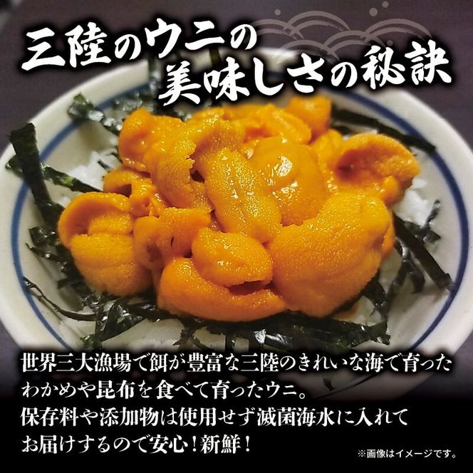 生ウニ 100g ミョウバン不使用 冷蔵 ムラサキウニ 季節限定 生うに 生雲丹 天然 海鮮丼 寿司 ウニ丼 刺身 直送 