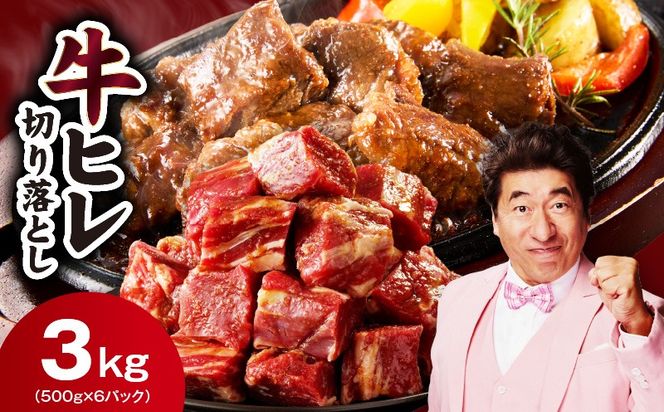 mrz0278 【スピード発送】やわらか 牛ヒレ肉 切り落とし 3kg【小分け 500g×6P 氷温熟成×特製ダレ サイズ不揃い ステーキ ひと口サイズ カット済み】