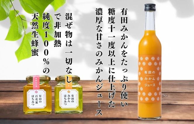 ［お中元］みかんジュース (500ml×2本) と はちみつ ( みかん蜂蜜・百花蜂蜜 各210g) セット 和歌山県産 産地直送 みかんの会 ［7月上旬～8月上旬に順次発送］ AX276-02