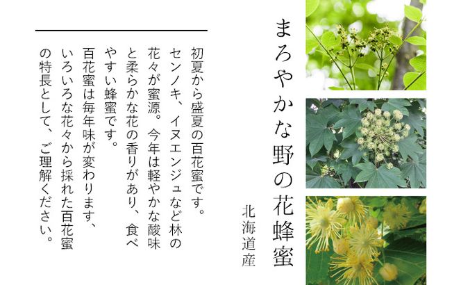 【国産純粋蜂蜜】北海道産 はちみつ5種食べ比べ 2.5kg (500g×5本) アカシア・まろやかな野の花・シコロ・シナ・オオハンゴンソウ［ナルセ養蜂場］【 はちみつ ハチミツ 蜂蜜 ハニー 健康 美容 料理 純粋 ギフト プレゼント 詰め合わせ 北海道 十勝 幕別 】