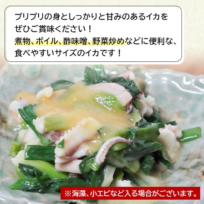 淡路島産ヒイカ 1キロ イカ