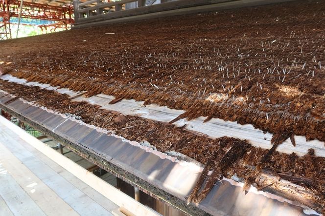 K002 国宝瑠璃光寺五重塔保存修理事業