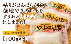 D531 徳地やまのいものすりおろしトロロ　100g×3個