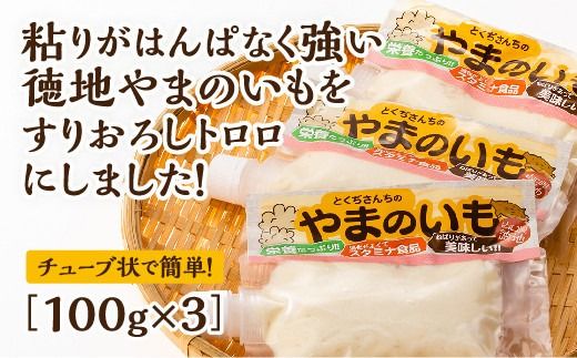 D531 徳地やまのいものすりおろしトロロ　100g×3個