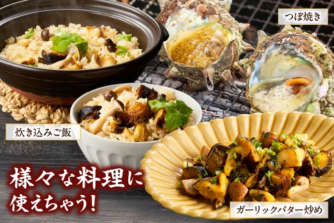 【兵庫県香住産 ボイルサザエ 約1kg（7～10個） 冷凍】国産 さざえ 栄螺 海鮮 新鮮 鮮度抜群 酒の肴 おつまみ おかず 磯 加熱済み 簡単 手軽に味わう磯の香り コリコリ食感 香住の海の恵み 夏休み BBQ バーベキュー キャンプ お盆 海 海水浴 日本海 おすすめ 兵庫県 香美町 香住 宿院商店 33-33