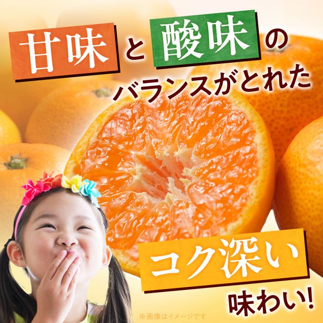 《2026年11月下旬頃～2027年1月下旬頃に順次発送予定》【2026年先行予約】【ご家庭用訳アリ】紀州有田産濃厚甘熟温州みかん 約2kg_G7325