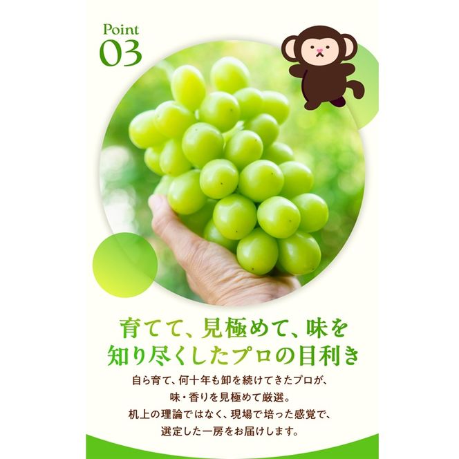 訳あり シャインマスカット 晴王 2房 合計1.0kg以上 ぶどう 葡萄 シャイン マスカット 岡山 岡山県産 桃太郎御一行 2026年 先行予約