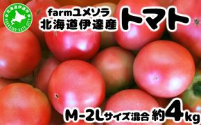 ◆2025年7月から順次出荷◆ farmユメソラ 大玉 トマト 約4kg