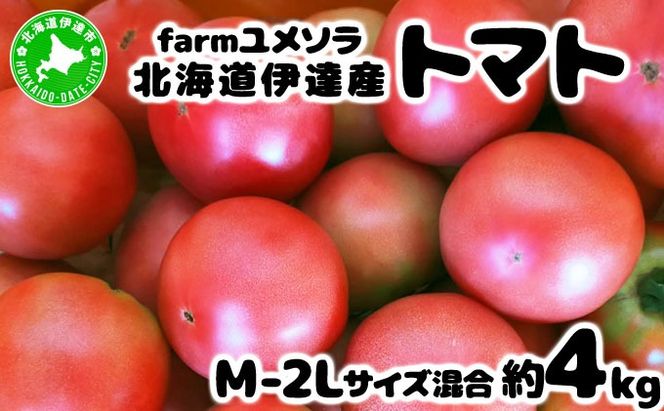 ykCɒBsz2026N7珇oׁ farm\  g}g 4kgyfamy-001z