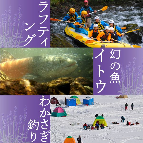 メロン 北海道 赤肉メロン 1.6kg×2玉 作倶楽 南ふらの産 産地直送 赤肉 フルーツ 果物 果実 旬 旬のくだもの デザート おやつ 富良野 めろん 2026年発送 