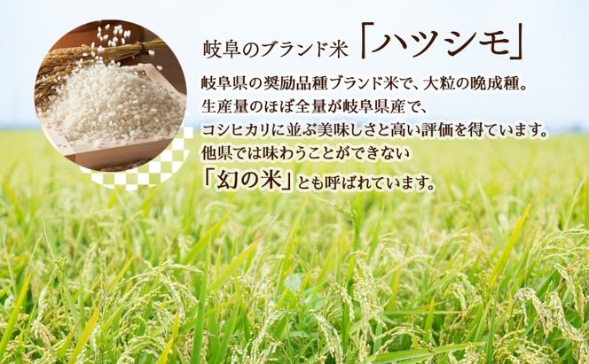 R7年産  特選米 ハツシモ 精米 10kg ×1袋 お米 米 白米 ごはん  精白米 ご飯 はつしも 令和7年産 ブランド米 低農薬 お取り寄せ 産地直送 クリーンファームまき 送料無料 岐阜県 安八町